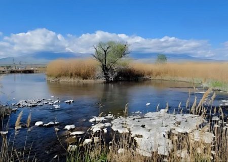 چشمه ثریا شریان حیاتی آب روستای بورالان است
