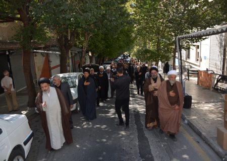 خیابان‌های ماکو غرق در ماتم رضوی شد